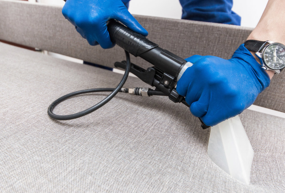 Carpet Cleaning Wairarapa WOW Carpet Cleaning Company Masterton
